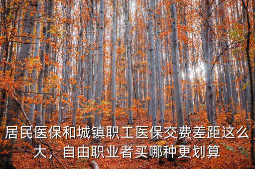 居民醫(yī)保和城鎮(zhèn)職工醫(yī)保交費(fèi)差距這么大，自由職業(yè)者買哪種更劃算