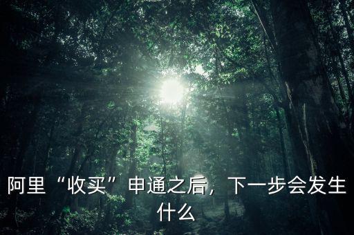 阿里“收買”申通之后，下一步會發(fā)生什么
