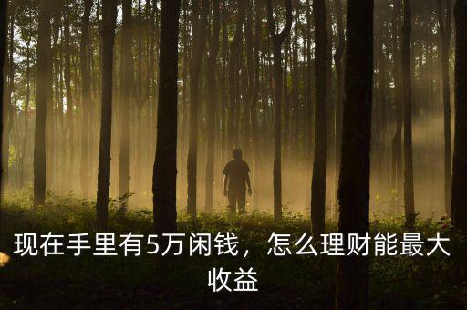 現(xiàn)在手里有5萬閑錢，怎么理財能最大收益
