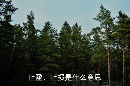 止盈、止損是什么意思