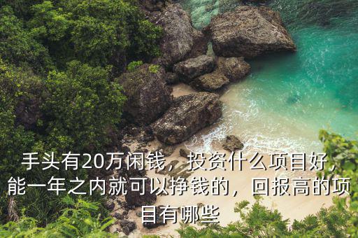 手頭有20萬閑錢，投資什么項目好，能一年之內就可以掙錢的，回報高的項目有哪些