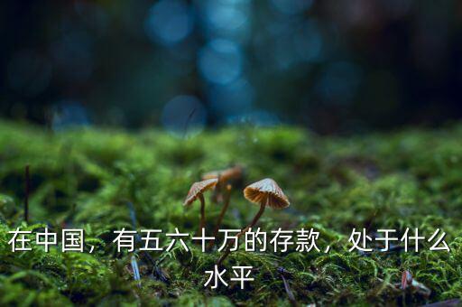 在中國，有五六十萬的存款，處于什么水平
