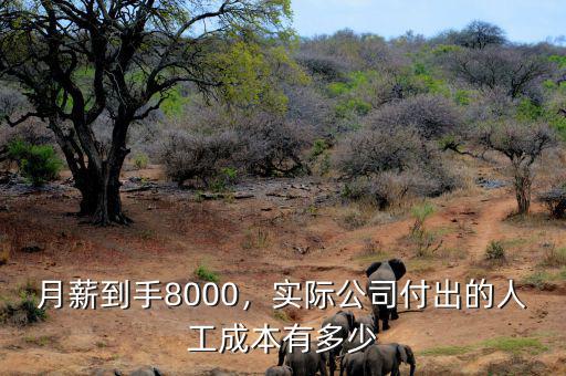 月薪到手8000，實(shí)際公司付出的人工成本有多少