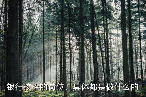 銀行校招的崗位，具體都是做什么的