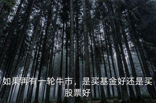 如果再有一輪牛市，是買基金好還是買股票好