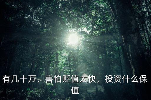 有幾十萬，害怕貶值太快，投資什么保值