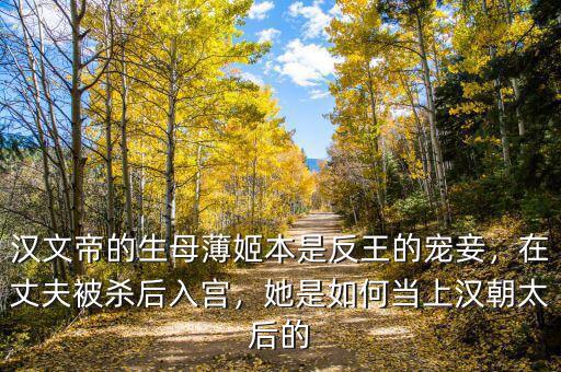 漢文帝的生母薄姬本是反王的寵妾，在丈夫被殺后入宮，她是如何當(dāng)上漢朝太后的