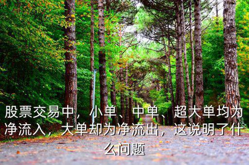 股票交易中，小單、中單、超大單均為凈流入，大單卻為凈流出，這說明了什么問題
