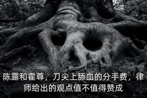 陳露和霍尊，刀尖上舔血的分手費(fèi)，律師給出的觀點(diǎn)值不值得贊成