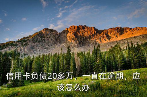 信用卡負(fù)債20多萬，一直在逾期，應(yīng)該怎么辦
