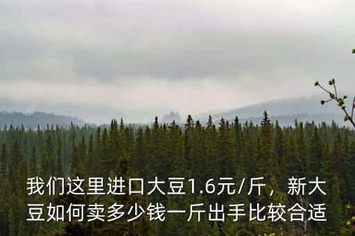 我們這里進(jìn)口大豆1.6元/斤，新大豆如何賣多少錢一斤出手比較合適