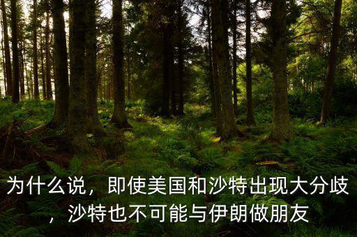 為什么說，即使美國和沙特出現(xiàn)大分歧，沙特也不可能與伊朗做朋友