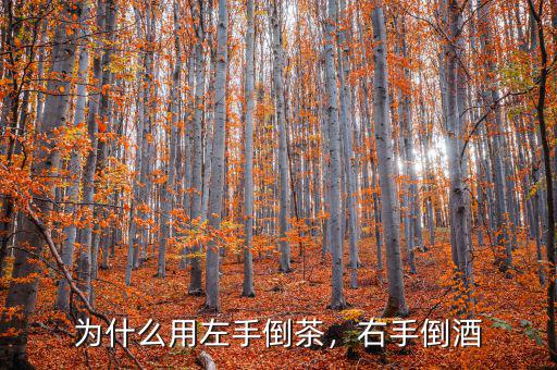 為什么用左手倒茶，右手倒酒