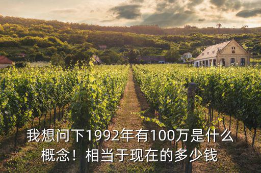 我想問下1992年有100萬是什么概念！相當(dāng)于現(xiàn)在的多少錢
