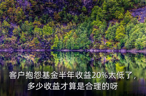 客戶(hù)抱怨基金半年收益20%太低了，多少收益才算是合理的呀