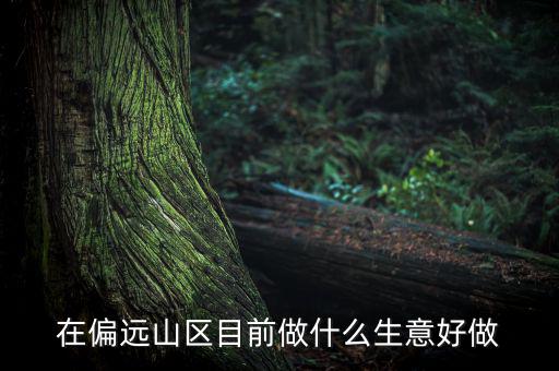 偏遠(yuǎn)城市做什么項(xiàng)目,可用5年。做什么項(xiàng)目好呢