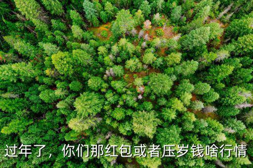 過年了，你們那紅包或者壓歲錢啥行情