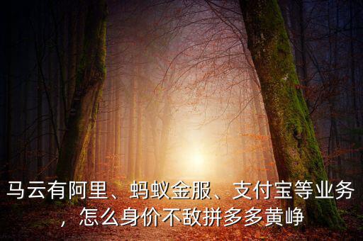 馬云有阿里、螞蟻金服、支付寶等業(yè)務(wù)，怎么身價(jià)不敵拼多多黃崢