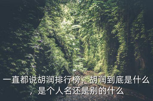 一直都說胡潤排行榜，胡潤到底是什么，是個(gè)人名還是別的什么