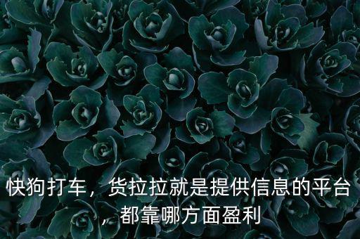 快狗打車(chē)，貨拉拉就是提供信息的平臺(tái)，都靠哪方面盈利
