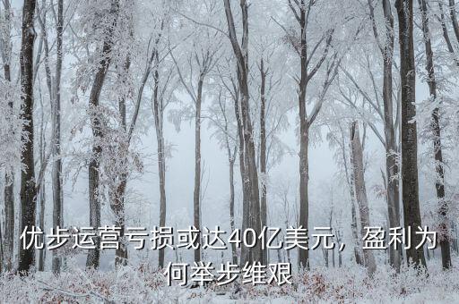 優(yōu)步運營虧損或達40億美元，盈利為何舉步維艱
