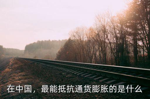 在中國(guó)，最能抵抗通貨膨脹的是什么
