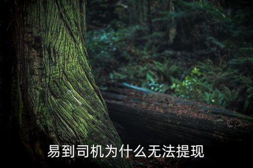 易到司機為什么無法提現