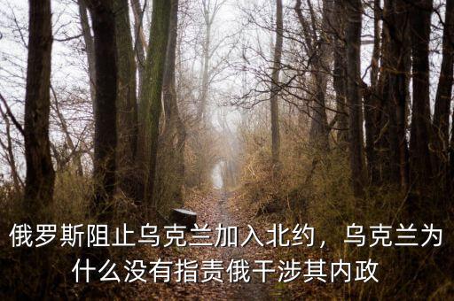 俄羅斯阻止烏克蘭加入北約，烏克蘭為什么沒有指責俄干涉其內政