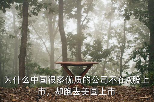 為什么中國很多優(yōu)質(zhì)的公司不在A股上市，卻跑去美國上市