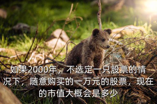 如果2000年，不選定一只股票的情況下，隨意購買的一萬元的股票，現(xiàn)在的市值大概會(huì)是多少