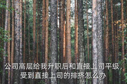 公司高層給我升職后和直接上司平級，受到直接上司的排擠怎么辦