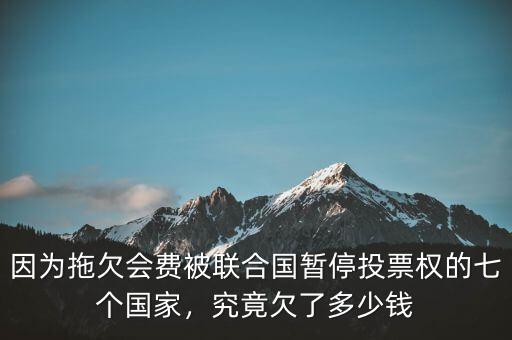 因為拖欠會費被聯(lián)合國暫停投票權(quán)的七個國家，究竟欠了多少錢