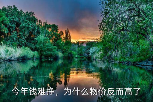 今年錢(qián)難掙，為什么物價(jià)反而高了
