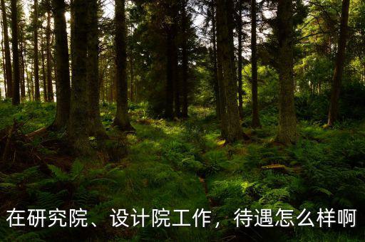 在研究院、設(shè)計院工作，待遇怎么樣啊