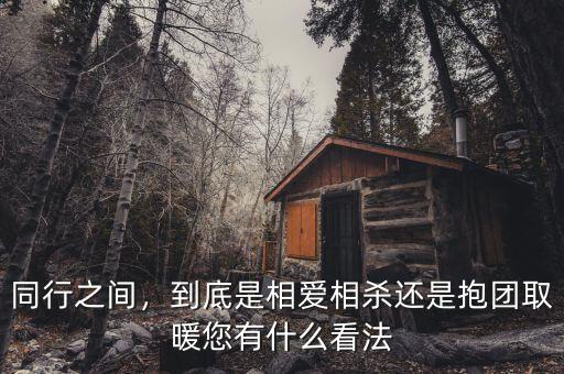 同行之間，到底是相愛相殺還是抱團取暖您有什么看法