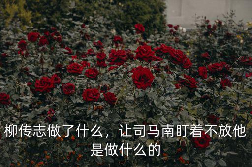 柳傳志做了什么，讓司馬南盯著不放他是做什么的