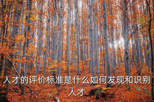 人才的評價標準是什么如何發(fā)現和識別人才