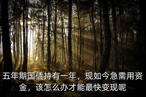 五年期國(guó)債持有一年，現(xiàn)如今急需用資金，該怎么辦才能最快變現(xiàn)呢