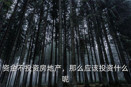 資金不投資房地產(chǎn)，那么應(yīng)該投資什么呢