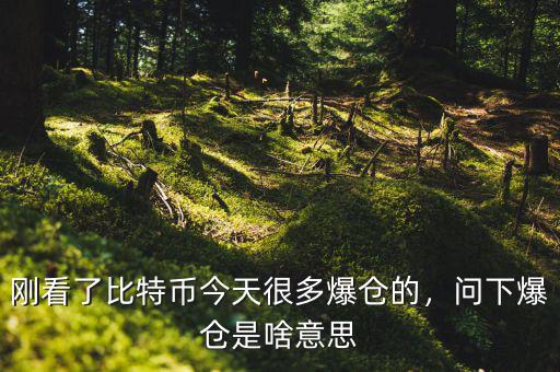 剛看了比特幣今天很多爆倉的，問下爆倉是啥意思