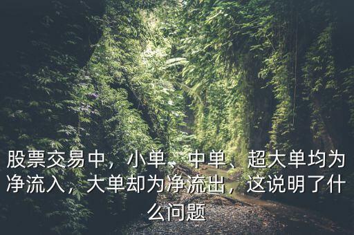 股票交易中，小單、中單、超大單均為凈流入，大單卻為凈流出，這說明了什么問題