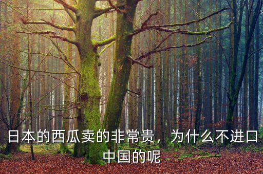 日本的西瓜賣的非常貴，為什么不進(jìn)口中國的呢