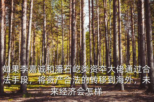 如果李嘉誠(chéng)和潘石屹類資夲大佬通過(guò)合法手段，將資產(chǎn)合法的轉(zhuǎn)移到海外，未來(lái)經(jīng)濟(jì)會(huì)怎樣