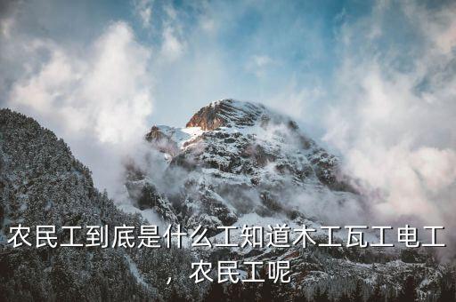 農(nóng)民工到底是什么工知道木工瓦工電工，農(nóng)民工呢