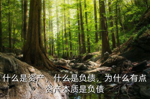 什么是資產(chǎn)，什么是負(fù)債，為什么有點(diǎn)資產(chǎn)本質(zhì)是負(fù)債