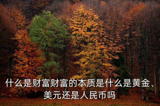 什么是財富財富的本質(zhì)是什么是黃金、美元還是人民幣嗎