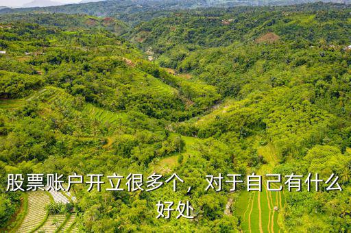 股票賬戶開(kāi)立很多個(gè)，對(duì)于自己有什么好處