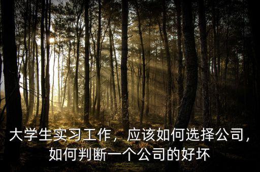 大學(xué)生實(shí)習(xí)工作，應(yīng)該如何選擇公司，如何判斷一個(gè)公司的好壞