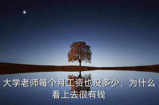 大學(xué)老師每個月工資也沒多少，為什么看上去很有錢