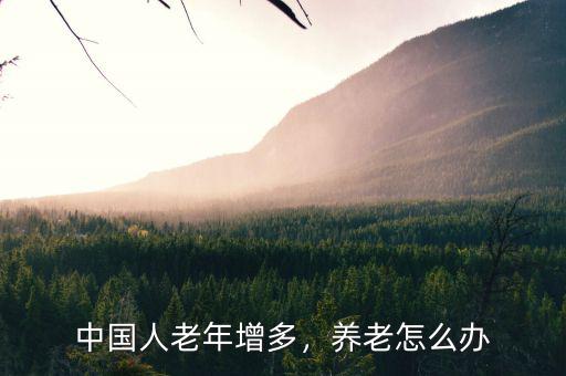 中國(guó)人老年增多，養(yǎng)老怎么辦
